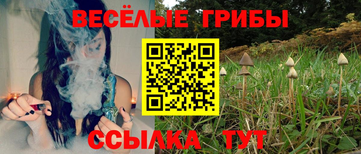 Галлюциногенные грибы Psilocybe Нерюнгри
