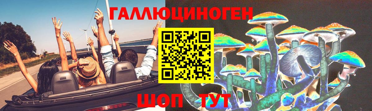 Галлюциногенные грибы GOLDEN TEACHER  Вход с VPN  Нерюнгри  Псилоцибиновые грибы MAGIC MUSHROOMS 